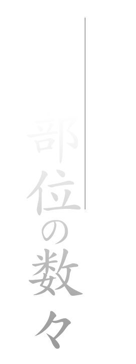 数々の部位